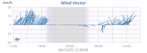 Wind Vector