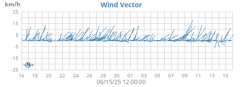 Wind Vector