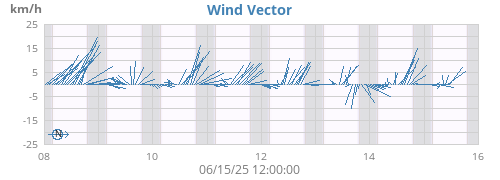 Wind Vector